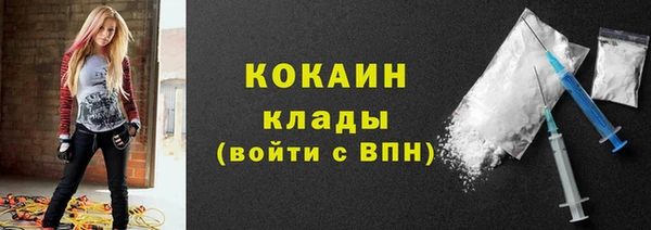 хмурый Мегион