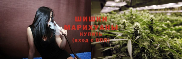 spice Медногорск