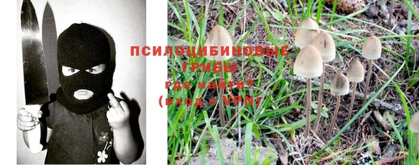 твердый Михайловск