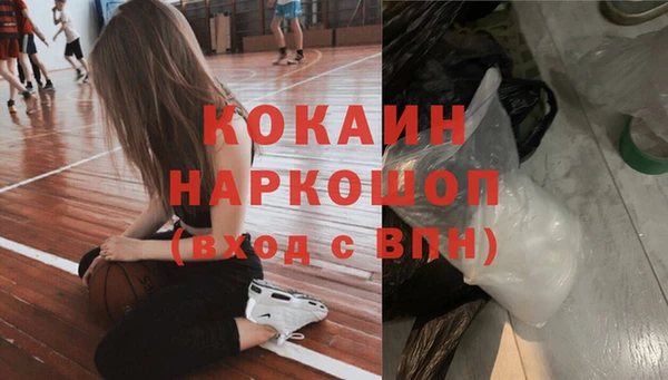 хмурый Мегион