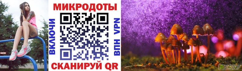 mega зеркало  Дербент  Псилоцибиновые грибы Psilocybine cubensis 